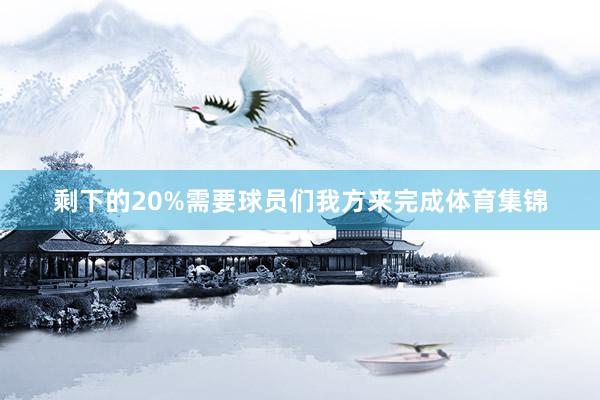 剩下的20%需要球员们我方来完成体育集锦