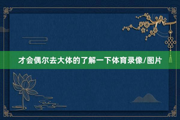 才会偶尔去大体的了解一下体育录像/图片