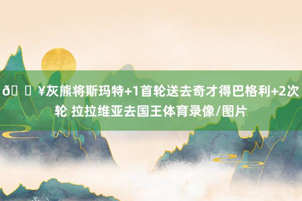 💥灰熊将斯玛特+1首轮送去奇才得巴格利+2次轮 拉拉维亚去国王体育录像/图片