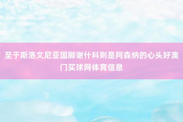 至于斯洛文尼亚国脚谢什科则是阿森纳的心头好澳门买球网体育信息