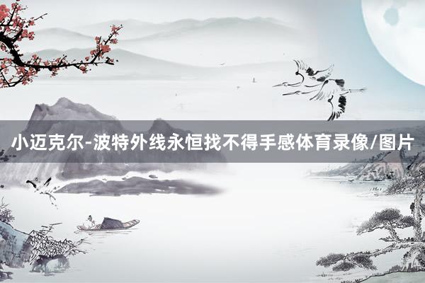 小迈克尔-波特外线永恒找不得手感体育录像/图片