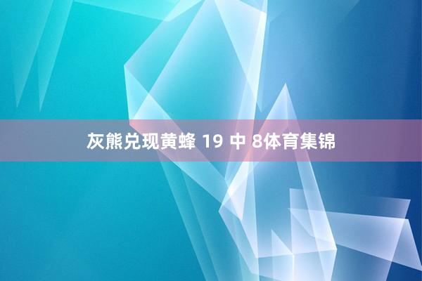 灰熊兑现黄蜂 19 中 8体育集锦