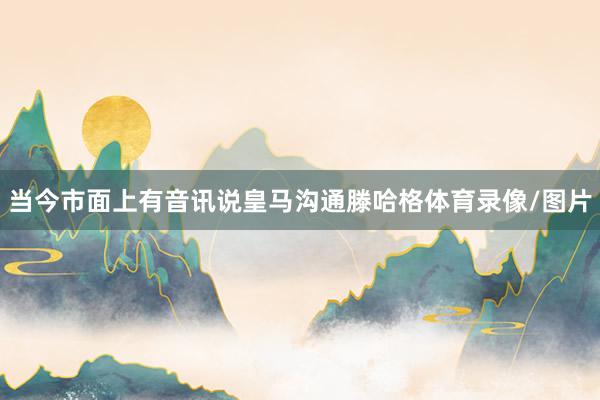 当今市面上有音讯说皇马沟通滕哈格体育录像/图片