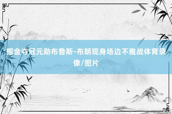 掘金夺冠元勋布鲁斯-布朗现身场边不雅战体育录像/图片