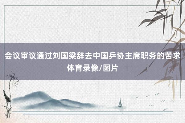 会议审议通过刘国梁辞去中国乒协主席职务的苦求体育录像/图片