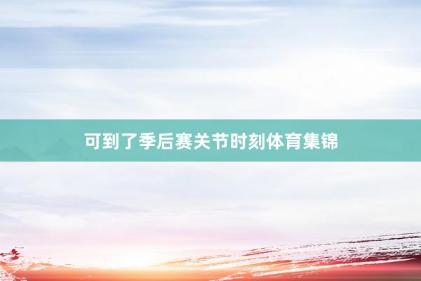 可到了季后赛关节时刻体育集锦