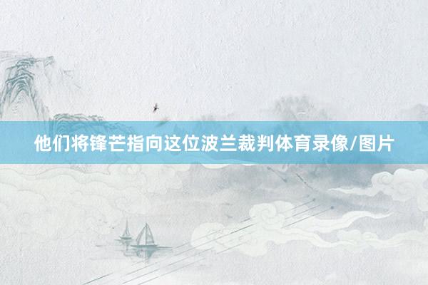 他们将锋芒指向这位波兰裁判体育录像/图片