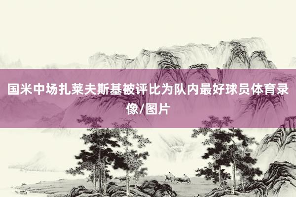 国米中场扎莱夫斯基被评比为队内最好球员体育录像/图片