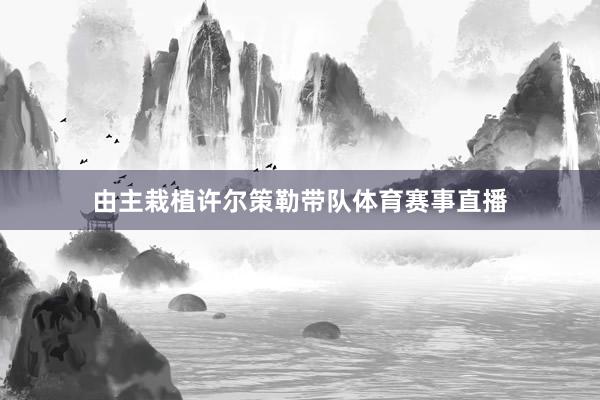 由主栽植许尔策勒带队体育赛事直播