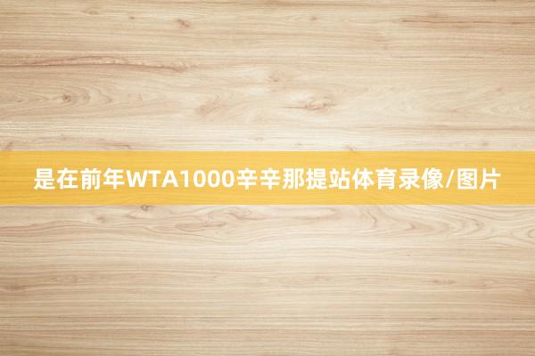 是在前年WTA1000辛辛那提站体育录像/图片