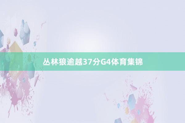 丛林狼逾越37分G4体育集锦