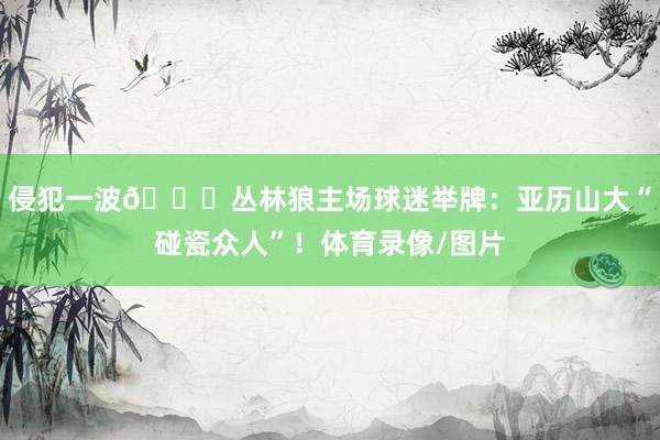 侵犯一波😂丛林狼主场球迷举牌：亚历山大“碰瓷众人”！体育录像