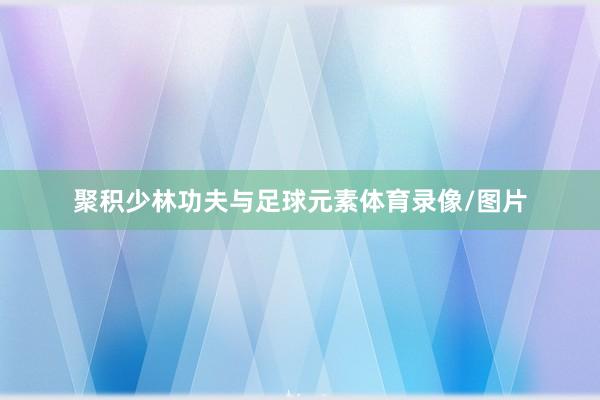 聚积少林功夫与足球元素体育录像/图片