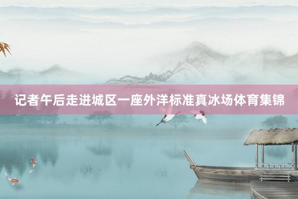 记者午后走进城区一座外洋标准真冰场体育集锦