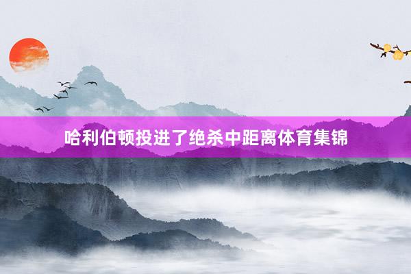 哈利伯顿投进了绝杀中距离体育集锦