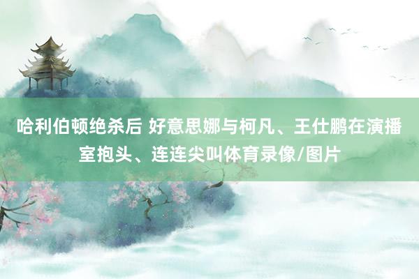 哈利伯顿绝杀后 好意思娜与柯凡、王仕鹏在演播室抱头、连连尖叫