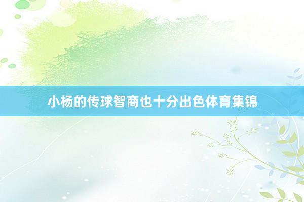 小杨的传球智商也十分出色体育集锦