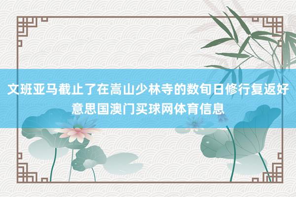 文班亚马截止了在嵩山少林寺的数旬日修行复返好意思国澳门买球网