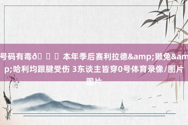 号码有毒💀本年季后赛利拉德&獭兔&哈利均跟腱