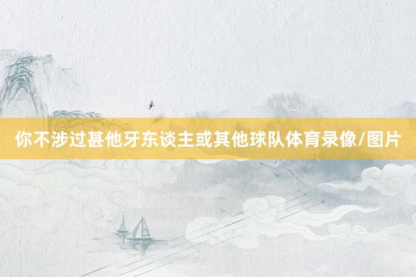 你不涉过甚他牙东谈主或其他球队体育录像/图片