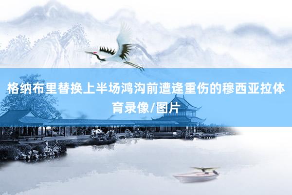 格纳布里替换上半场鸿沟前遭逢重伤的穆西亚拉体育录像/图片