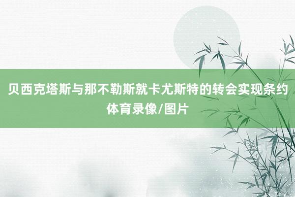 贝西克塔斯与那不勒斯就卡尤斯特的转会实现条约体育录像/图片