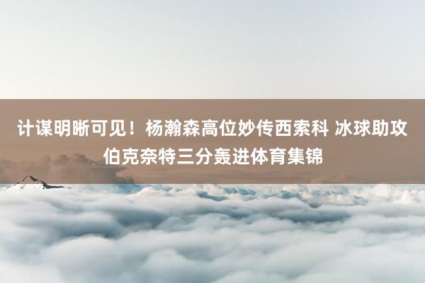 计谋明晰可见！杨瀚森高位妙传西索科 冰球助攻伯克奈特三分轰进