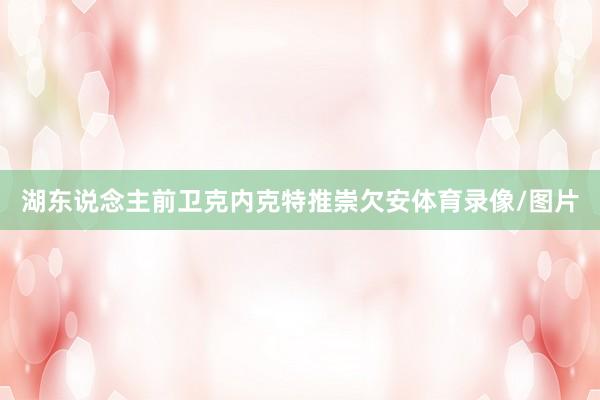 湖东说念主前卫克内克特推崇欠安体育录像/图片
