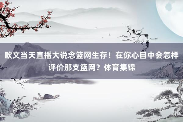 欧文当天直播大说念篮网生存！在你心目中会怎样评价那支篮网？体