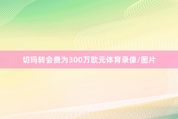切玛转会费为300万欧元体育录像/图片