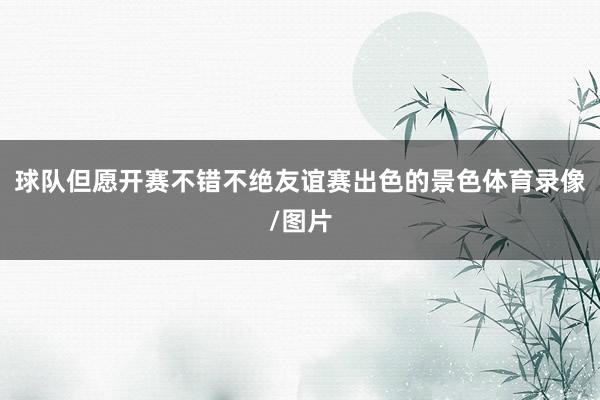 球队但愿开赛不错不绝友谊赛出色的景色体育录像/图片