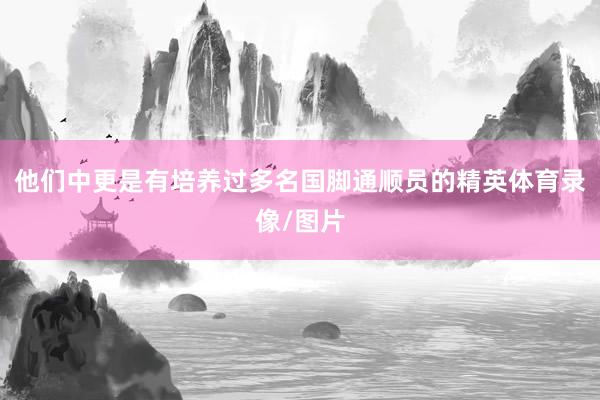 他们中更是有培养过多名国脚通顺员的精英体育录像/图片