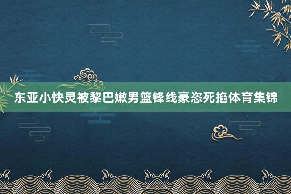 东亚小快灵被黎巴嫩男篮锋线豪恣死掐体育集锦