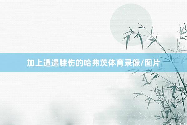 加上遭遇膝伤的哈弗茨体育录像/图片