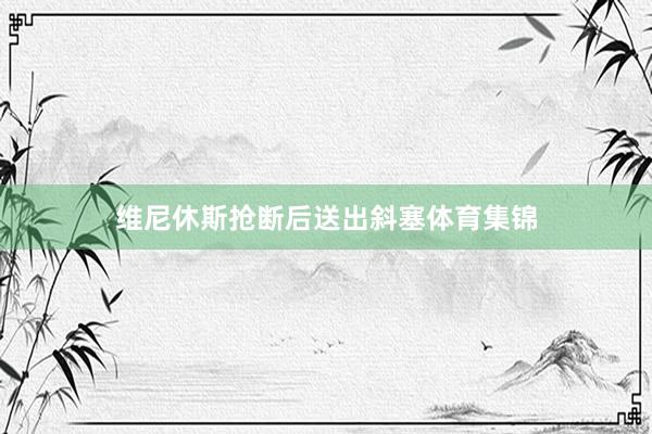 维尼休斯抢断后送出斜塞体育集锦