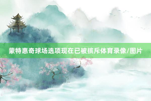 蒙特惠奇球场选项现在已被摈斥体育录像/图片