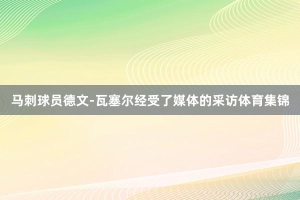 马刺球员德文-瓦塞尔经受了媒体的采访体育集锦