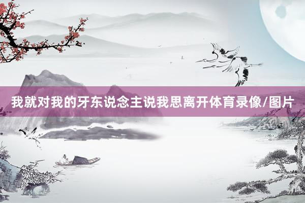 我就对我的牙东说念主说我思离开体育录像/图片
