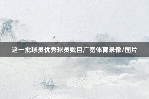 这一批球员优秀球员数目广宽体育录像/图片