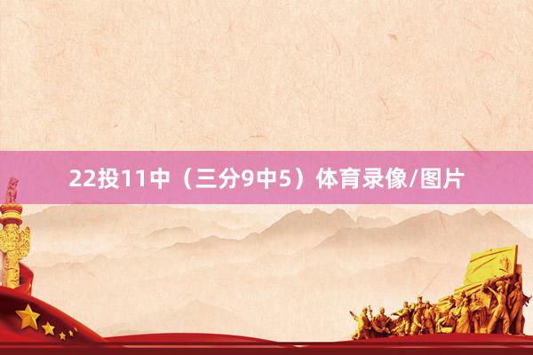 22投11中（三分9中5）体育录像/图片