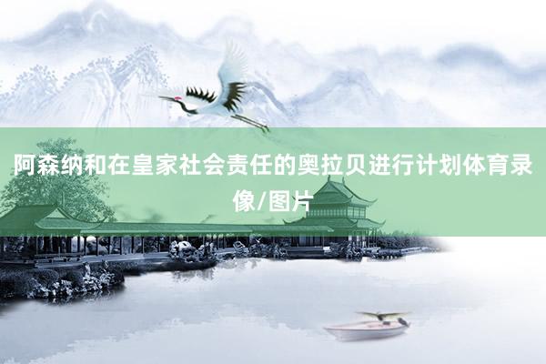 阿森纳和在皇家社会责任的奥拉贝进行计划体育录像/图片
