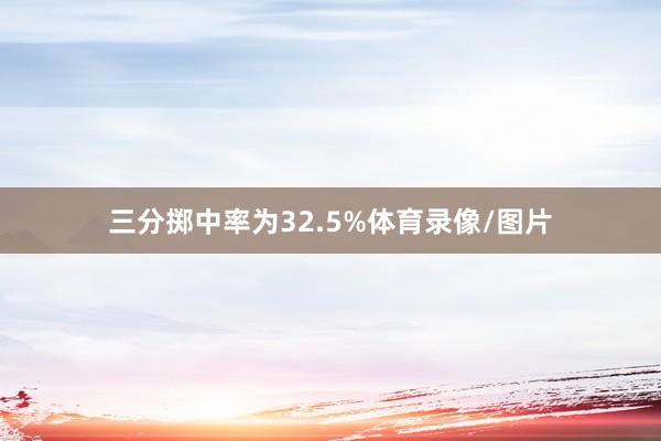 三分掷中率为32.5%体育录像/图片