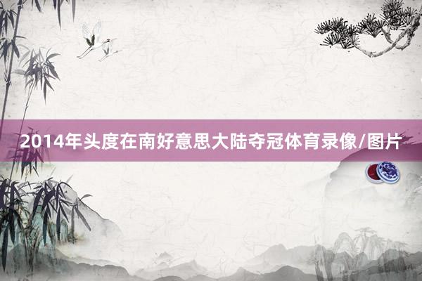 2014年头度在南好意思大陆夺冠体育录像/图片