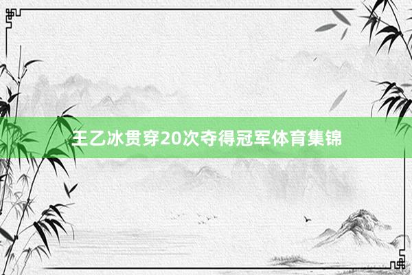 王乙冰贯穿20次夺得冠军体育集锦
