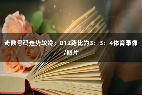 奇数号码走势较冷；012路比为3：3：4体育录像/图片