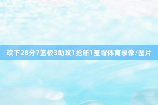 砍下28分7篮板3助攻1抢断1盖帽体育录像/图片