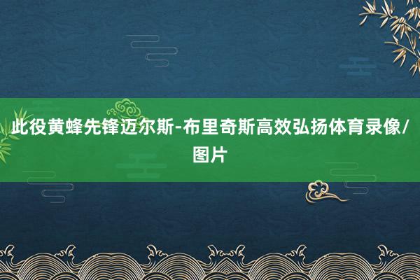 此役黄蜂先锋迈尔斯-布里奇斯高效弘扬体育录像/图片