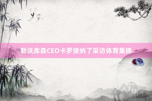 勒沃库森CEO卡罗接纳了采访体育集锦