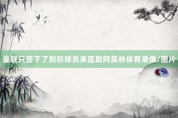 曼联只签下了别称球员来匡助阿莫林体育录像/图片