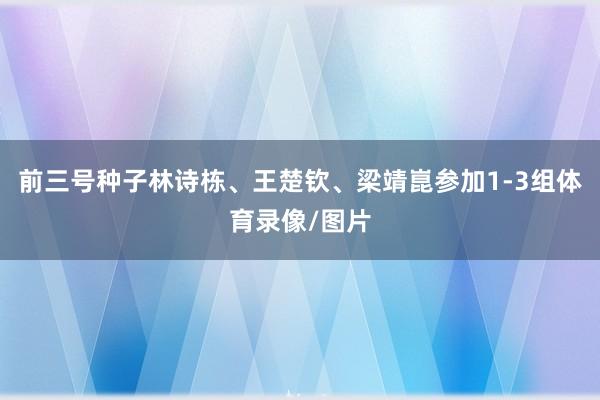 前三号种子林诗栋、王楚钦、梁靖崑参加1-3组体育录像/图片